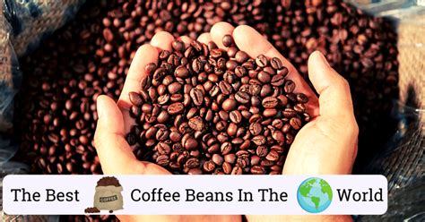 Best Coffee Beans In The World Best Coffee Beans In The World