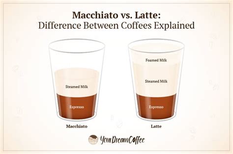 Latte Macchiato Vs Latte Latte Macchiato Vs Latte