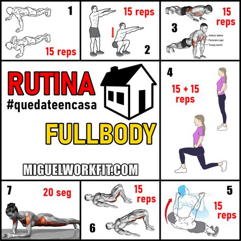 Rutina Fullbody Gu A De Iniciaci N Para Principiantes Rutina Fullbody Gu A De Iniciaci N Para Principiantes