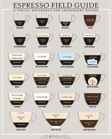 What Is The Differences Between Cappuccino And Latte Info Graphic By What Is The Differences Between Cappuccino And Latte Info Graphic By